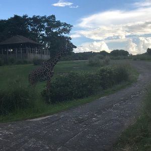 Meet your Posher, Alma